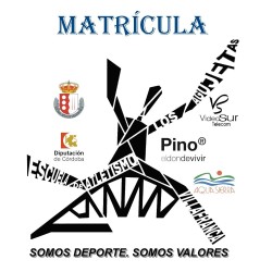 Matrícula escuela 2024_25